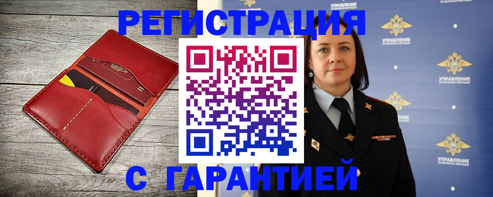 прописка поиск в Невеле